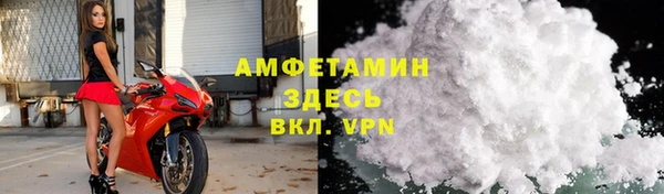 ECSTASY Бородино