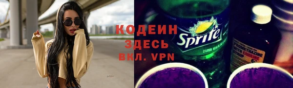 ECSTASY Бородино