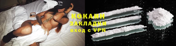 ECSTASY Бородино