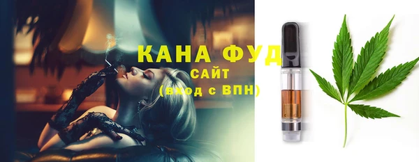 ECSTASY Бородино