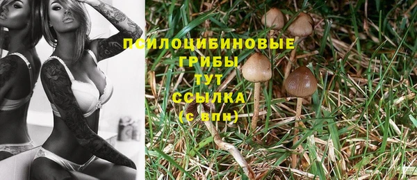 ECSTASY Бородино
