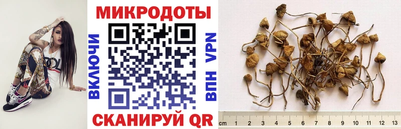 купить закладку  omg ONION  Галлюциногенные грибы Psilocybine cubensis  Крым 
